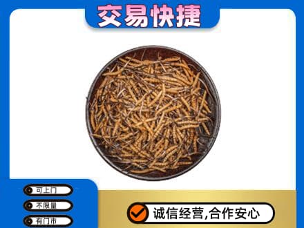 宜章县高价回收散虫草